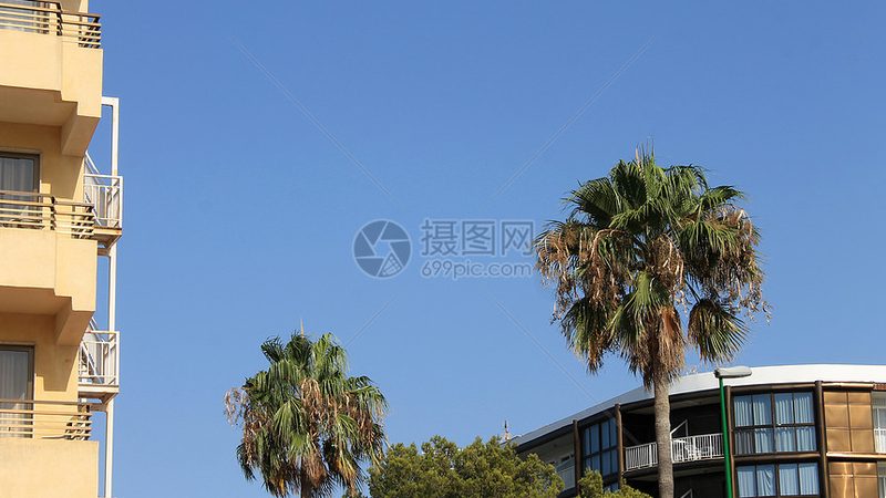 团建户外拓展，上海企业如何选择优质项目？**